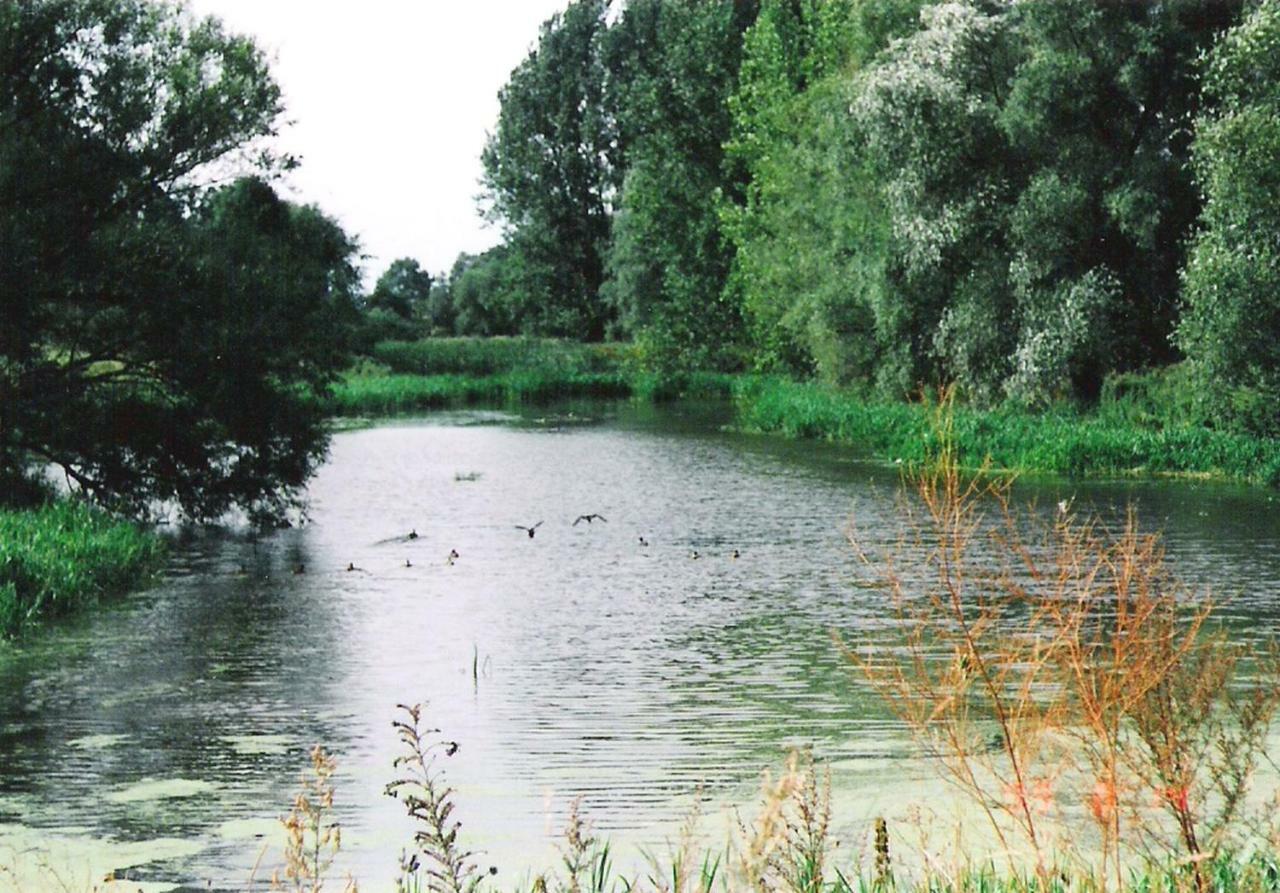 Star Camp Cosa, Ferienwohnungen, Camping, Schlaffaesser Friedland  Zewnętrze zdjęcie